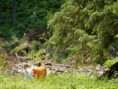 /album/fotogaleria1/l-jpg/